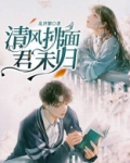 清风拂面，君未归