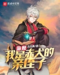 海贼：我是赤犬的亲侄子