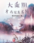 大乘期才有逆袭系统无错精校