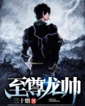 至尊龙帅