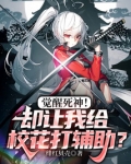 觉醒死神！却让我给校花打辅助？