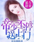 帝少爆宠妻霸上霸