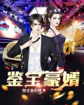 鉴宝豪婿