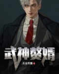 武神赘婿 评价