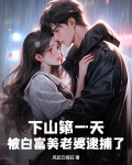 下山第一天，被白富美老婆逮捕了