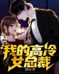 我的高冷女总裁陆尘免费下载