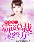娇妻在上：霸道总裁超给力