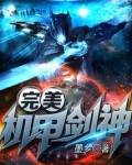 完美机甲剑神TXT下载