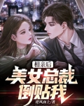 总裁相亲被美女追尾