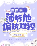 薄爷娇妻要离婚