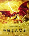 海贼之天空龙