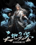 天地灵鉴 小说