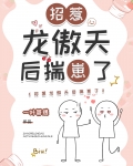 招惹龙傲天后揣崽了下载