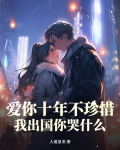 爱你十年不珍惜,我出国你哭什么歌曲