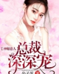 神秘恋人:总裁深深宠 小说