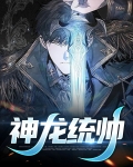 神龙统帅