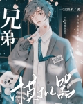 兄弟模拟器小说