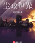 尘埃和光