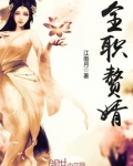 全职赘婿许霏霏结局