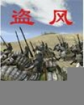 盗风