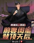 离婚后我娶了前妻闺蜜第二季