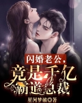 闪婚老公,竟是千亿霸道总裁 笔趣阁