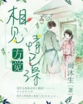 相见方觉情已深