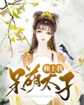 呆萌太子妃要逆天免费全文阅读