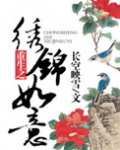 重生之绣锦如意