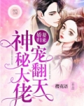 娇妻归来,总裁