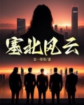 塞北风云TXT全文下载