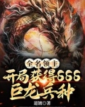 全名领主开局获得sss巨龙兵种
