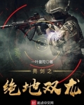亮剑之绝地双龙电视剧