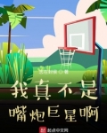 我真的不是嘴炮