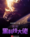 民间黑科技大佬 小说