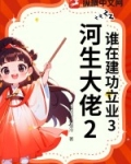 谁在建功立业3河生大佬2