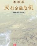 第四次灵石金融危机元婴密会