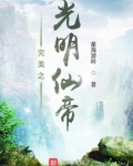 完美世界之光明仙帝