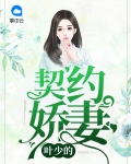 重生娇妻叶少请离婚