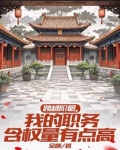 抱紧美女书记的大腿，我青云直上
