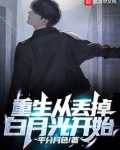 重生从丢掉白月光开始TXT下载