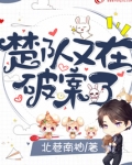 楚队又在破案了小说