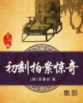 初刻拍案惊奇讲什么