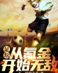 足坛:从氪金开始无敌 不一样的火花
