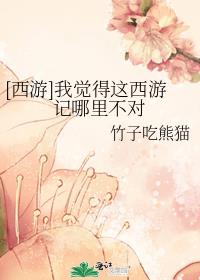 西游我觉得这西游记哪里不对劲