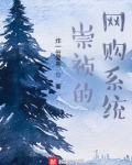 崇祯 系统