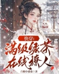 快穿恶女偷心记小说