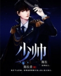少帅