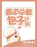 霸道总裁包子计划