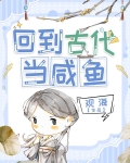 回到古代当咸鱼 小说